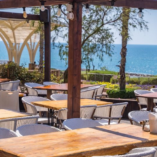 Hayekev Restaurant / Cafe