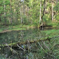 Üüste Springs