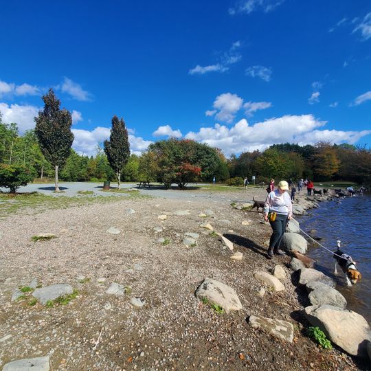 Shubie Off-Leash Dog Park