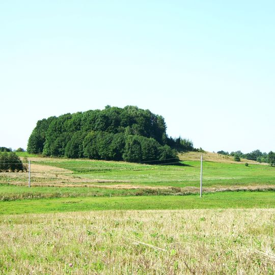 Dungeriukai hillfort
