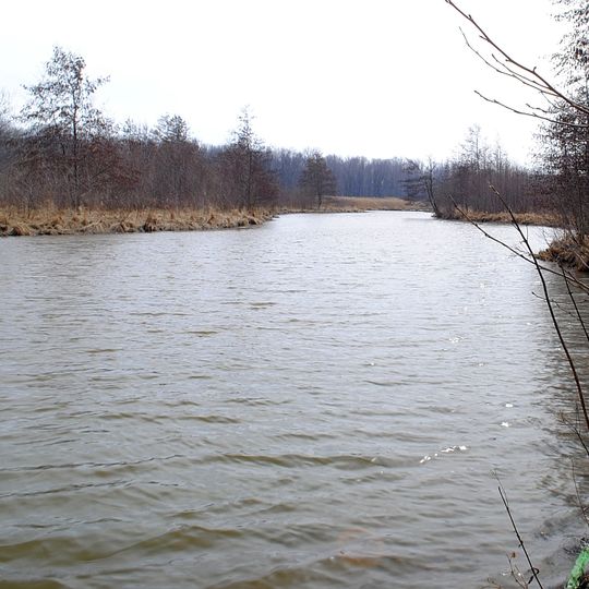 Buckhorn Island State Park