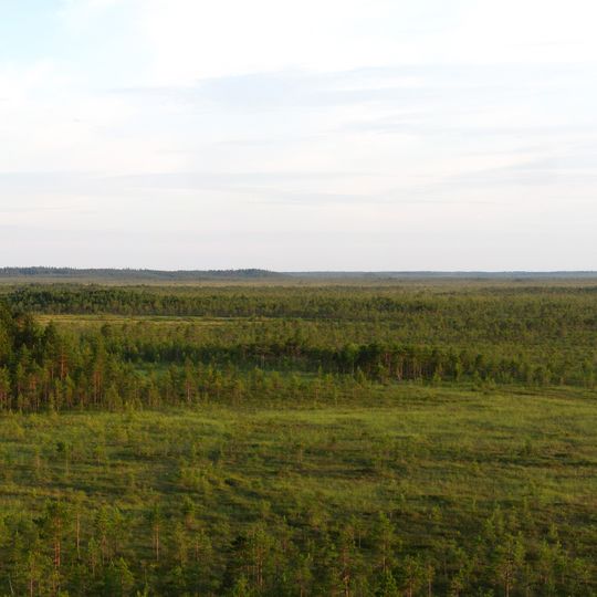 Muraka Bog