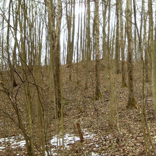 Vaidotų piliakalnis