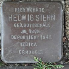 Hedwig Stern
