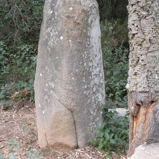 Menhir d'en Llach