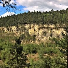 Naturschutzgebiet Sandsteinbruch am Hollenberg
