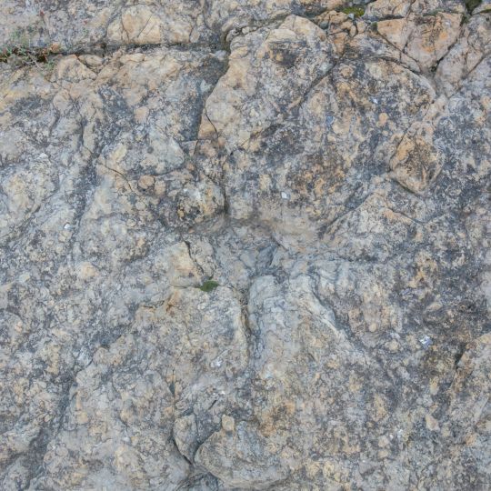 Archaeological Site of Virgen del Prado