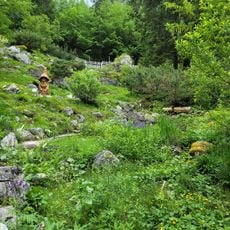 Alpine Botanical Garden Juliana