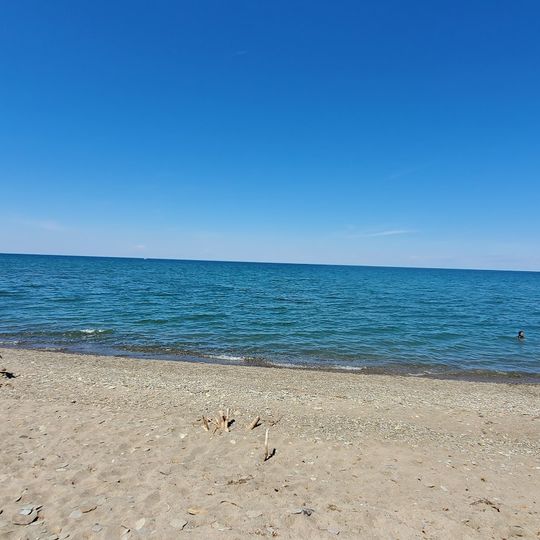 Barcelona Beach and Dan Reed Pier