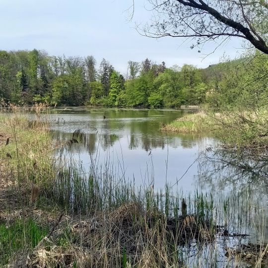 Teich bei St.Jakob am Thurn