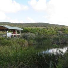 Regional Wildflower Garden, Albany