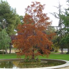 Parc Torras i Villà
