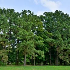 Manor park in Skrwilno