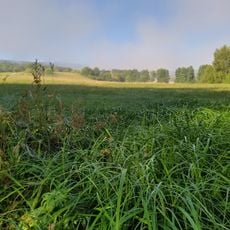 Oberes Zabergäu zwischen Zaberfeld-Ochsenburg und Pfaffenhofen-Weiler in Zaberfeld und Pfaffenhofen