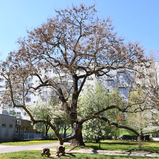 Pavlovnie u hřiště ve Štýřicích