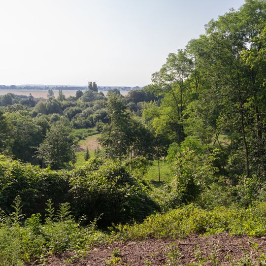 Seelow Heights