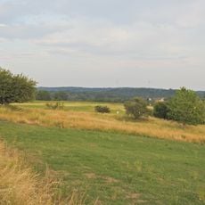 Magerrasen im Honhardter Bühl