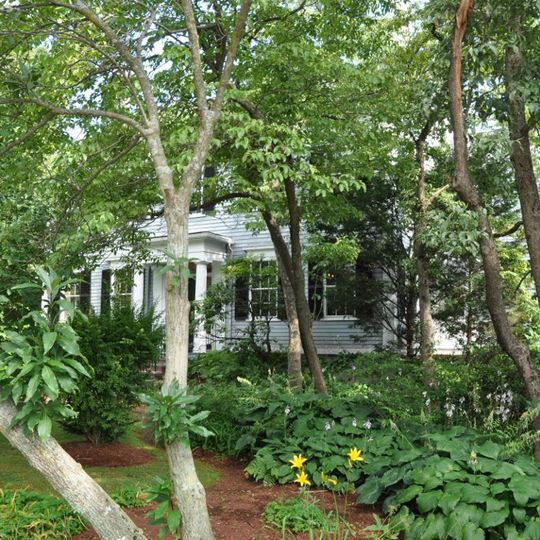 William Curtis House