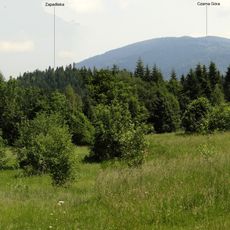 Czarna Góra (Pasmo Przedbabiogórskie)