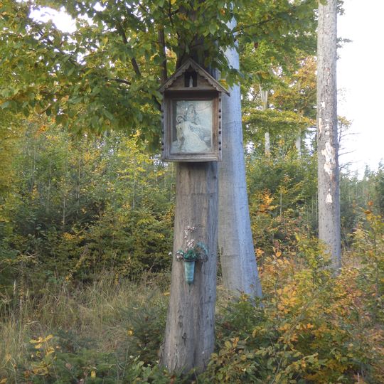 Bildbaum im Purkerwald
