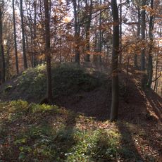 Burgstall Frickenhofen