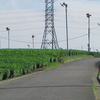 入間市