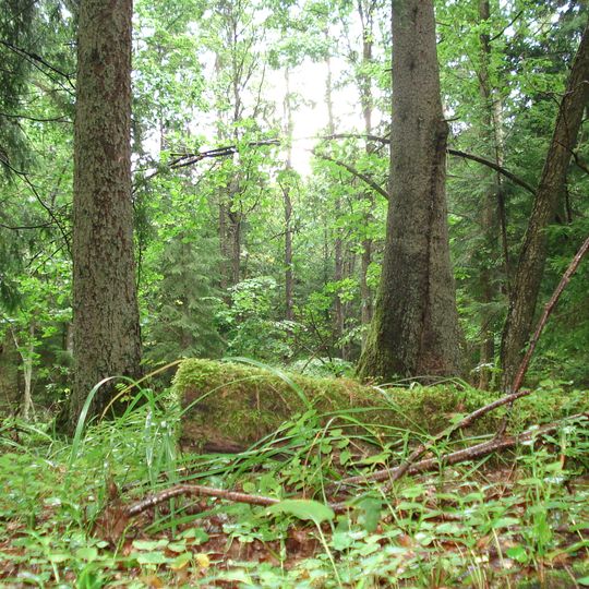 Gnilec nature reserve