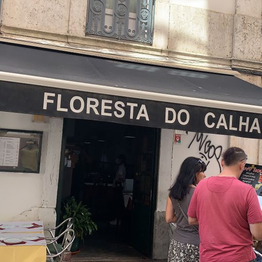 Floresta do Calhariz