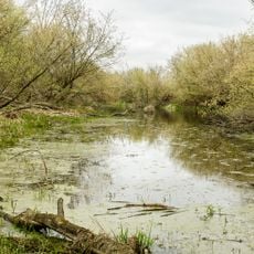 Stara Wisła in Wawer
