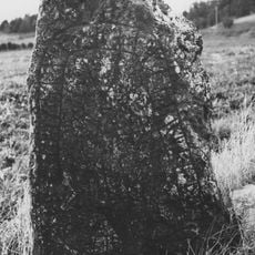 Södermanlands runinskrifter 132