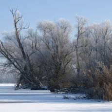 Donau zwischen Regensburg und Straubing