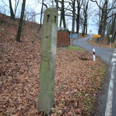 Kamjentny pućnik blisko Prawoćic