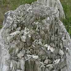Geosite Goudberg