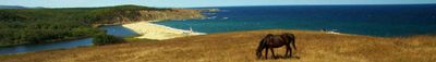 Panoramic View 1