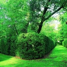 Labyrinthe de Merville