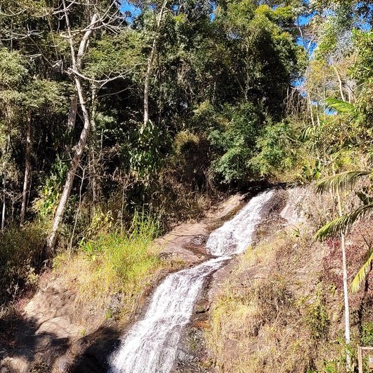 Passa Quatro National Forest