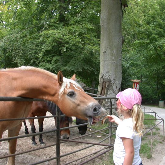 Tierpark Sassnitz