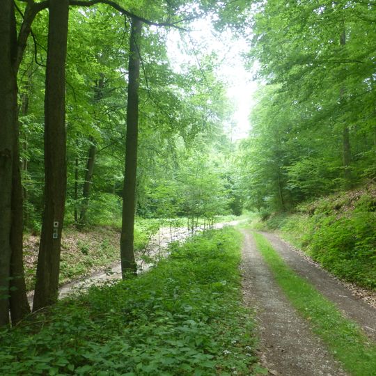 Ibenkuppe - Thomasbrücke - Östlicher Westerwald