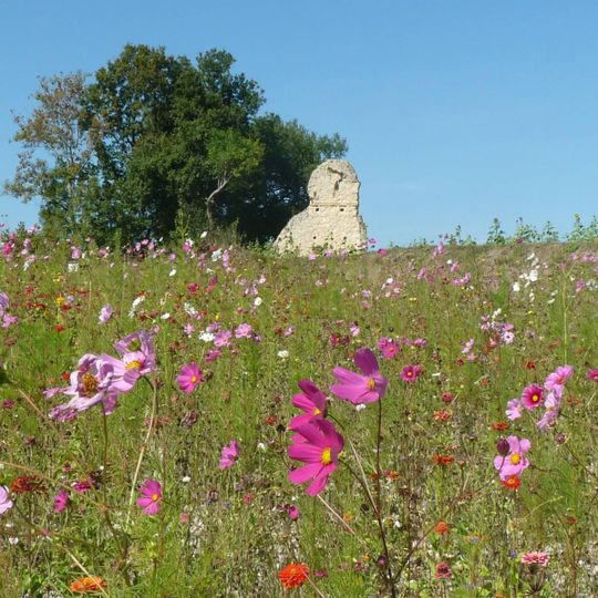 Villa gallo-romaine de la Coue d'Auzenat