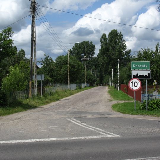 Knorydy