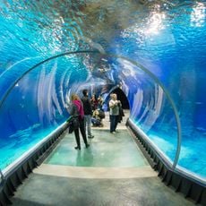 Africarium