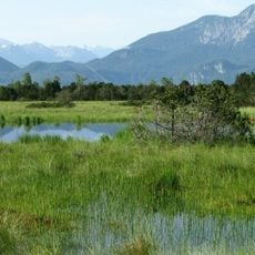 Fichtsee im Sindelsbachfilz