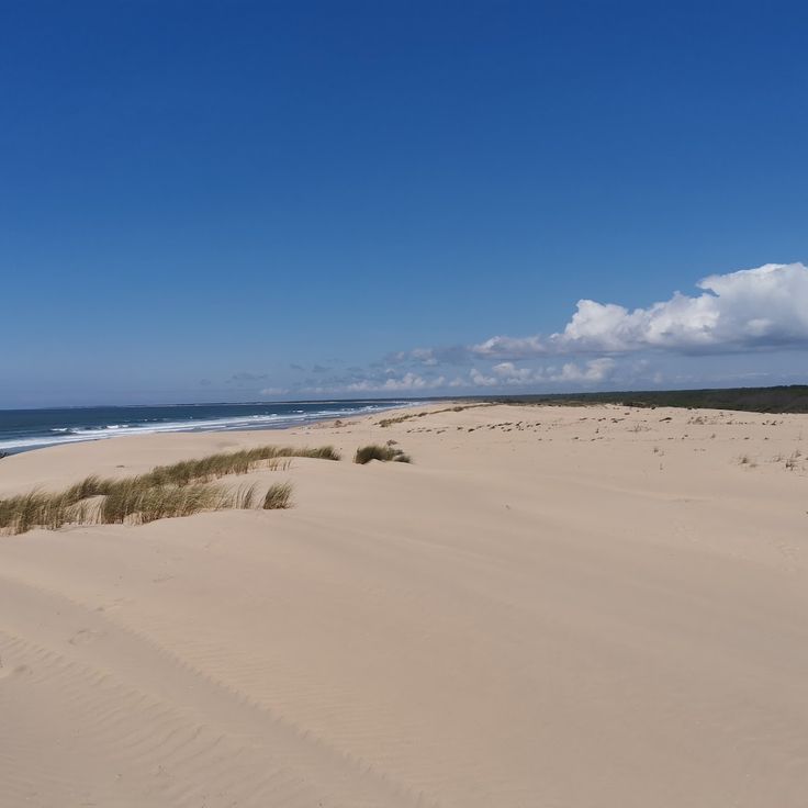 Wielka Plaża Saint-Trojan