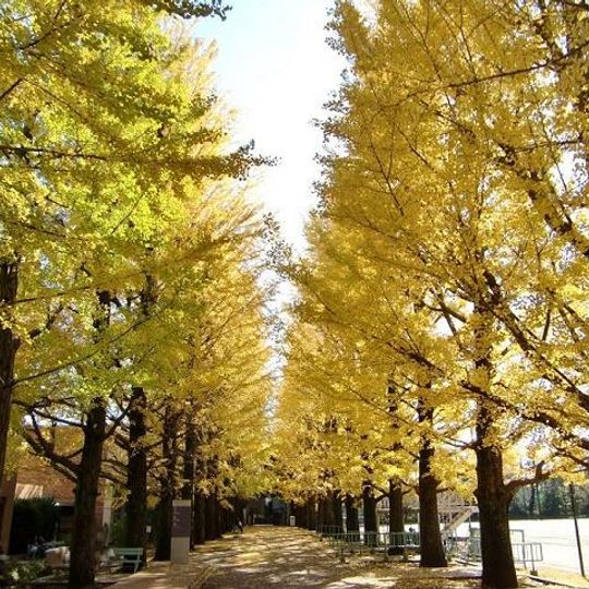 Second Junior & Senior High School of Nihon University