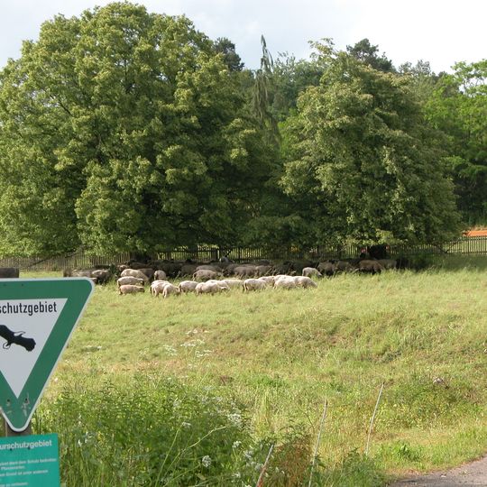 Naturschutzgebiet Kehnaer Trift