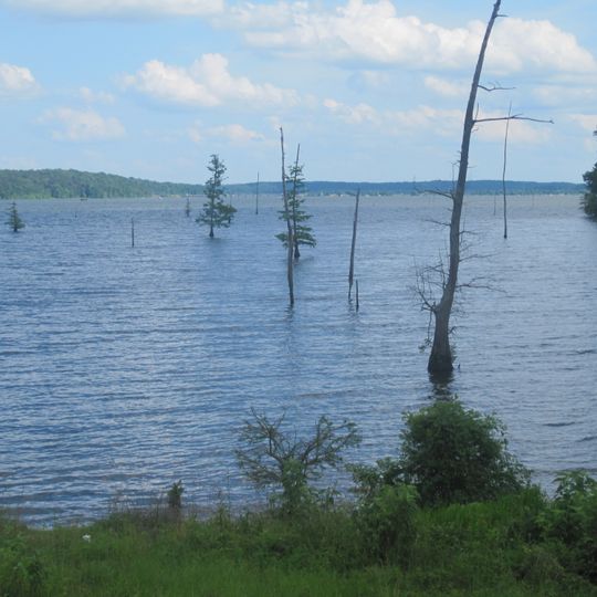 Lake D’Arbonne