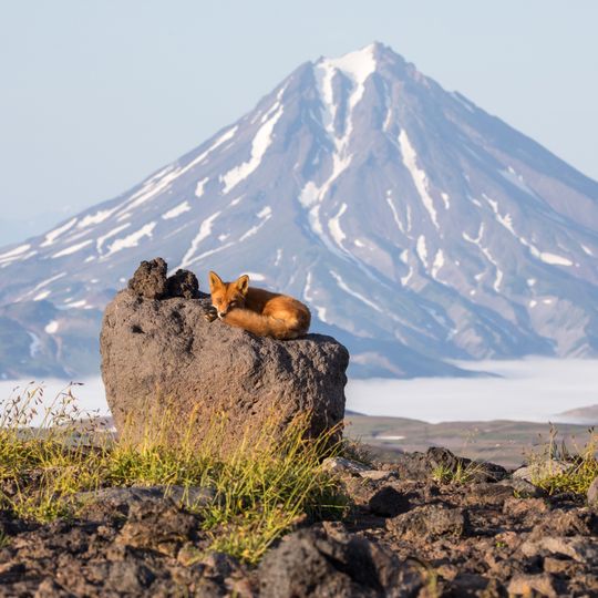 Parc naturel du Kamtchatka du Sud