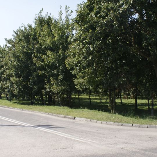 Cmentarz żydowski w Kodniu