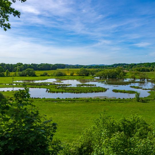 Bliesaue mit Gruenland, Brachen, Auwaldfragmenten, stehendem und fliessendem Gewaesser, Begleitgehoelz