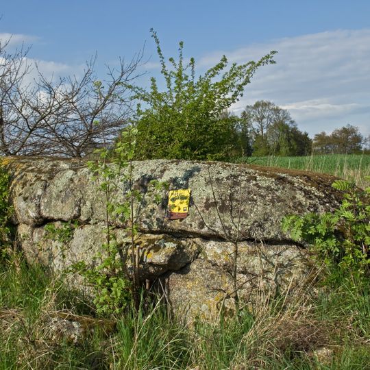Granite boulder near Ullrichs